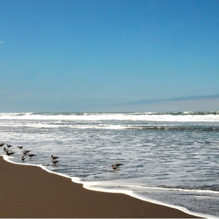 Arequipa and It’s Beaches