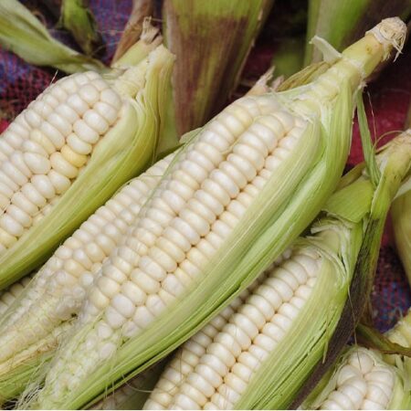 Gastronomía Peruana