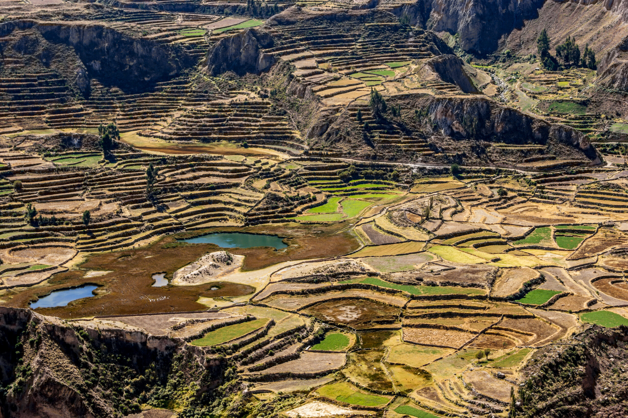 Top 10 Things to See in the Colca Valley