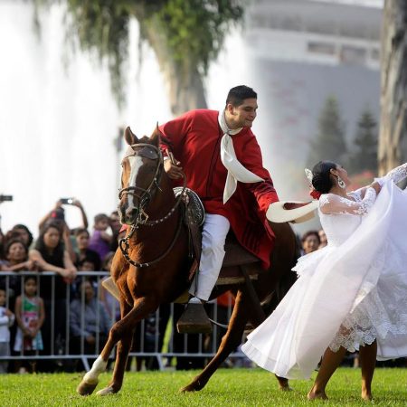 Caballo de Paso Peruano