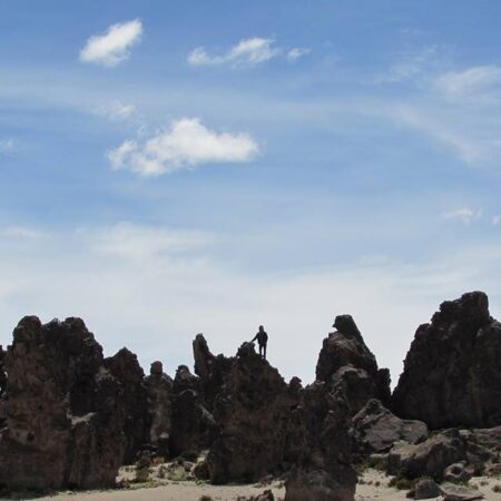 The Stone Forest of Imata