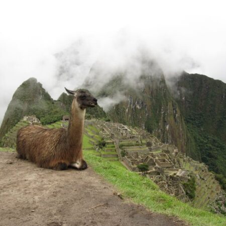 Cusco and Machu Picchu
