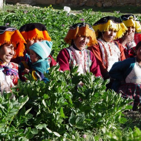 The Parque de la Papa in Cusco