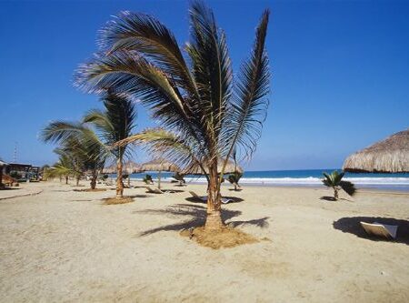 The 10 Best Beaches in Peru according to Lonely Planet